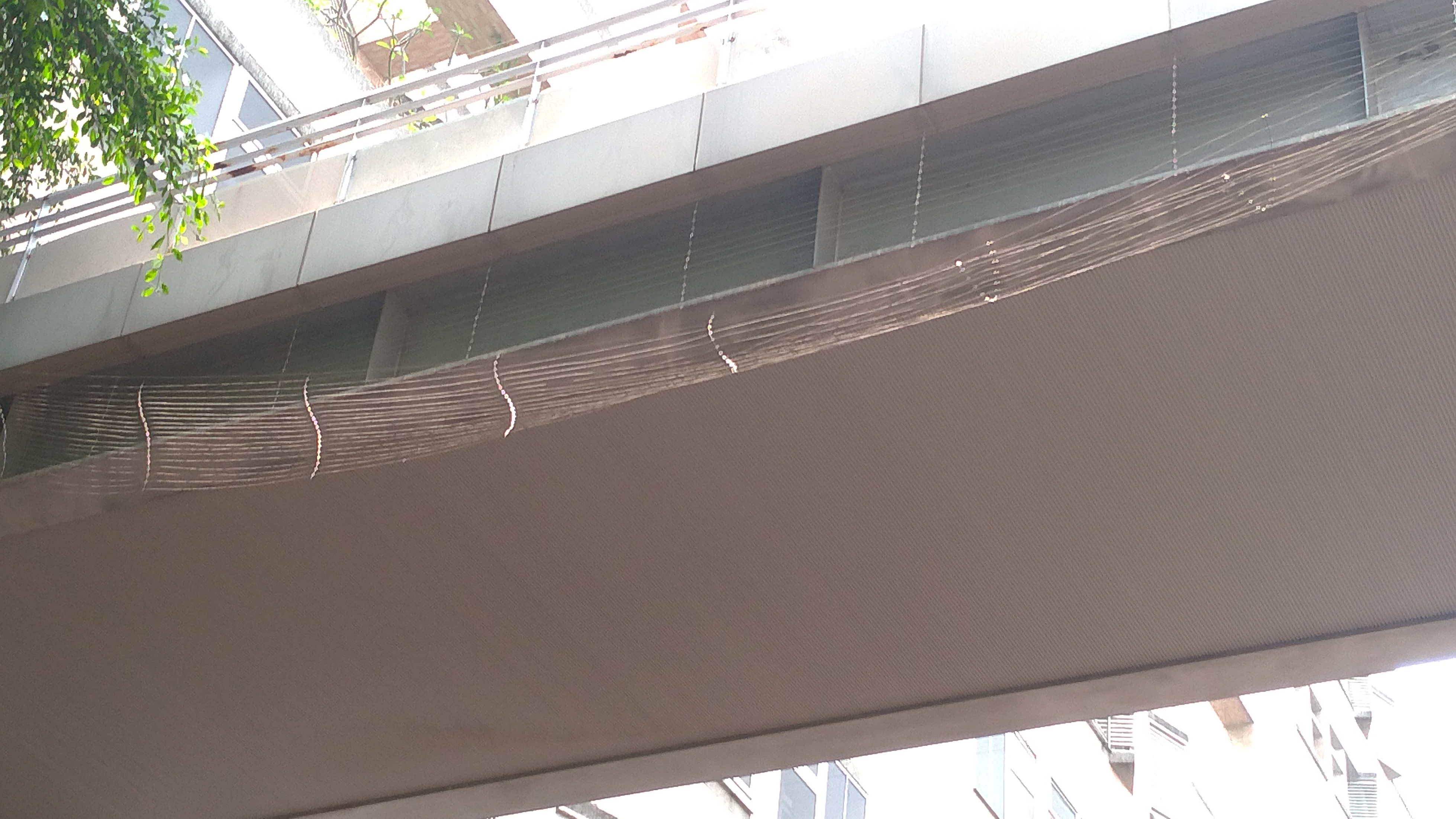 3樓天橋防鴿網脫落